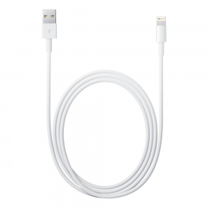 Apple Lightning to USB Cable (1 m)